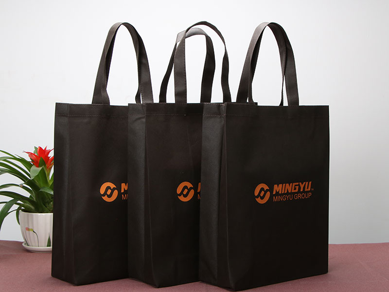 Non Woven Carry Bag Non Woven Garment Bag