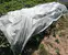 Nonwoven for crop protection