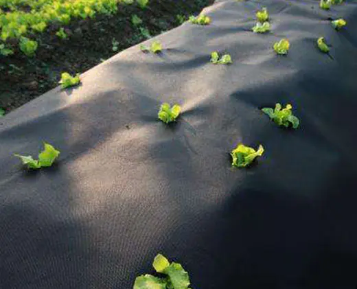 Weed control nonwoven film Non Woven Crop Cover