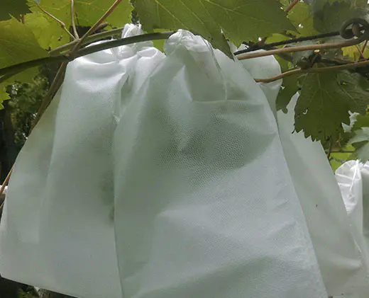 Fruit protect bags Garden Weed Control Fabric