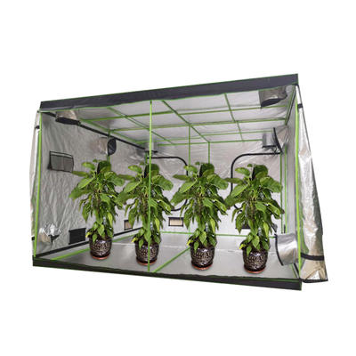 Best seller custom mini greenhouse hydroponic weed growbox indoor for sale indoor plant growing garden