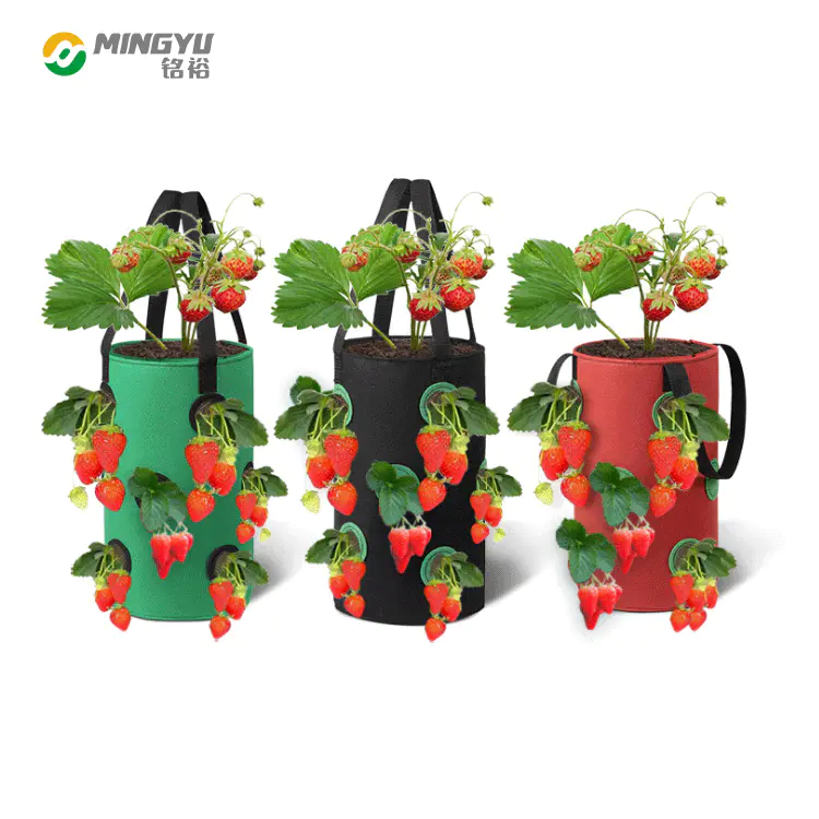 5 7 10 Gallon breathable thicken heavy duty strawberry plants grow bag