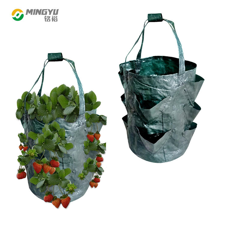 PE nonwoven fabric strawberry grow bags