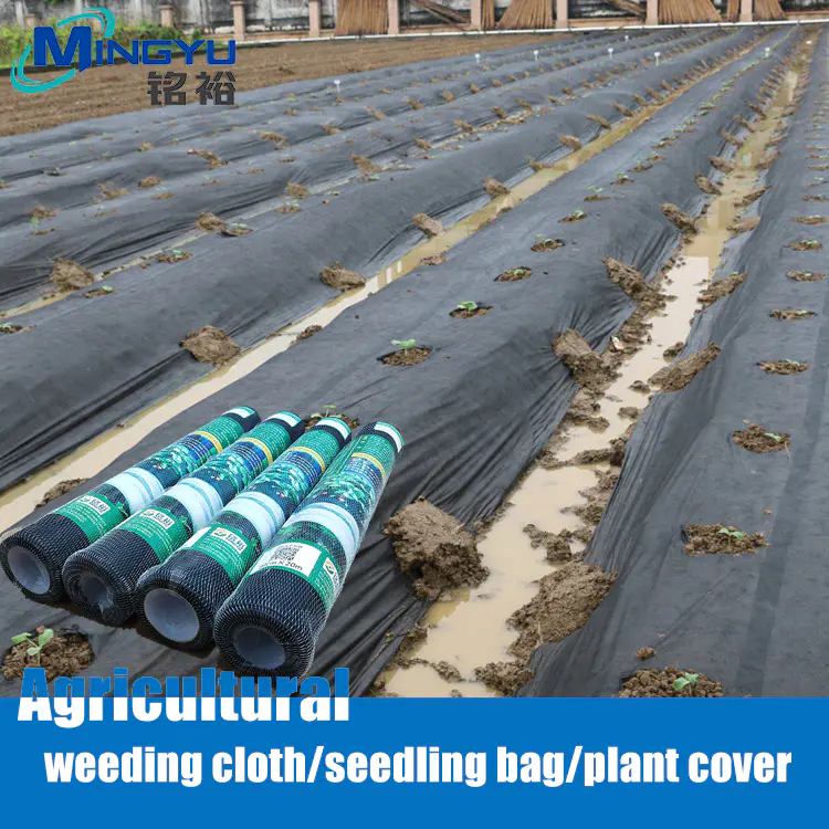 Agricultural weeding cloth/seedling bag/plant cover